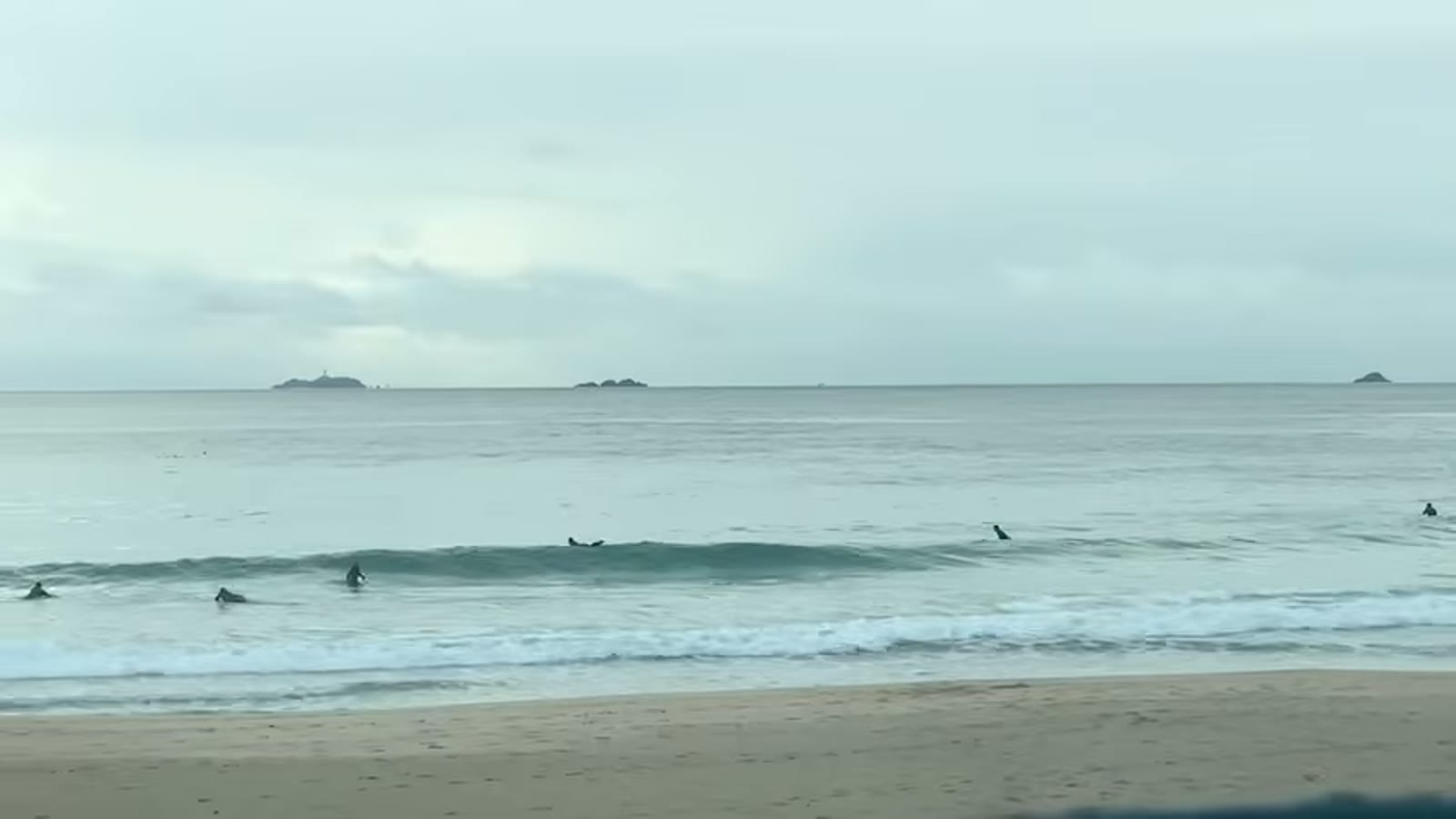 雨の中、伊豆の海岸線をドライブする道中