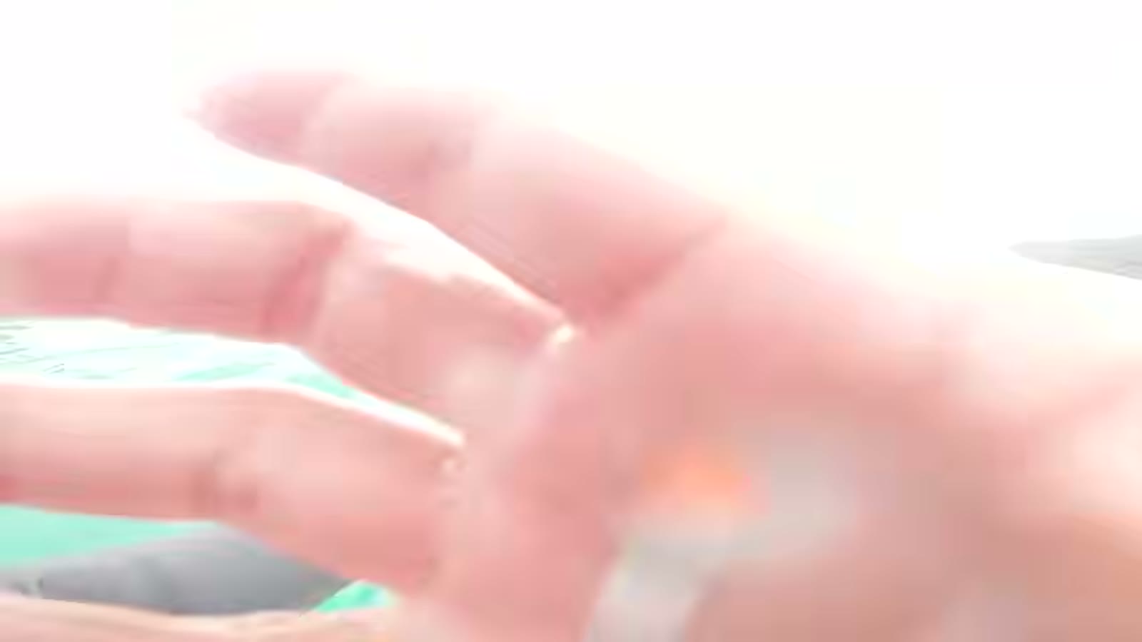 波を探して伊豆の海岸を見て回る様子
