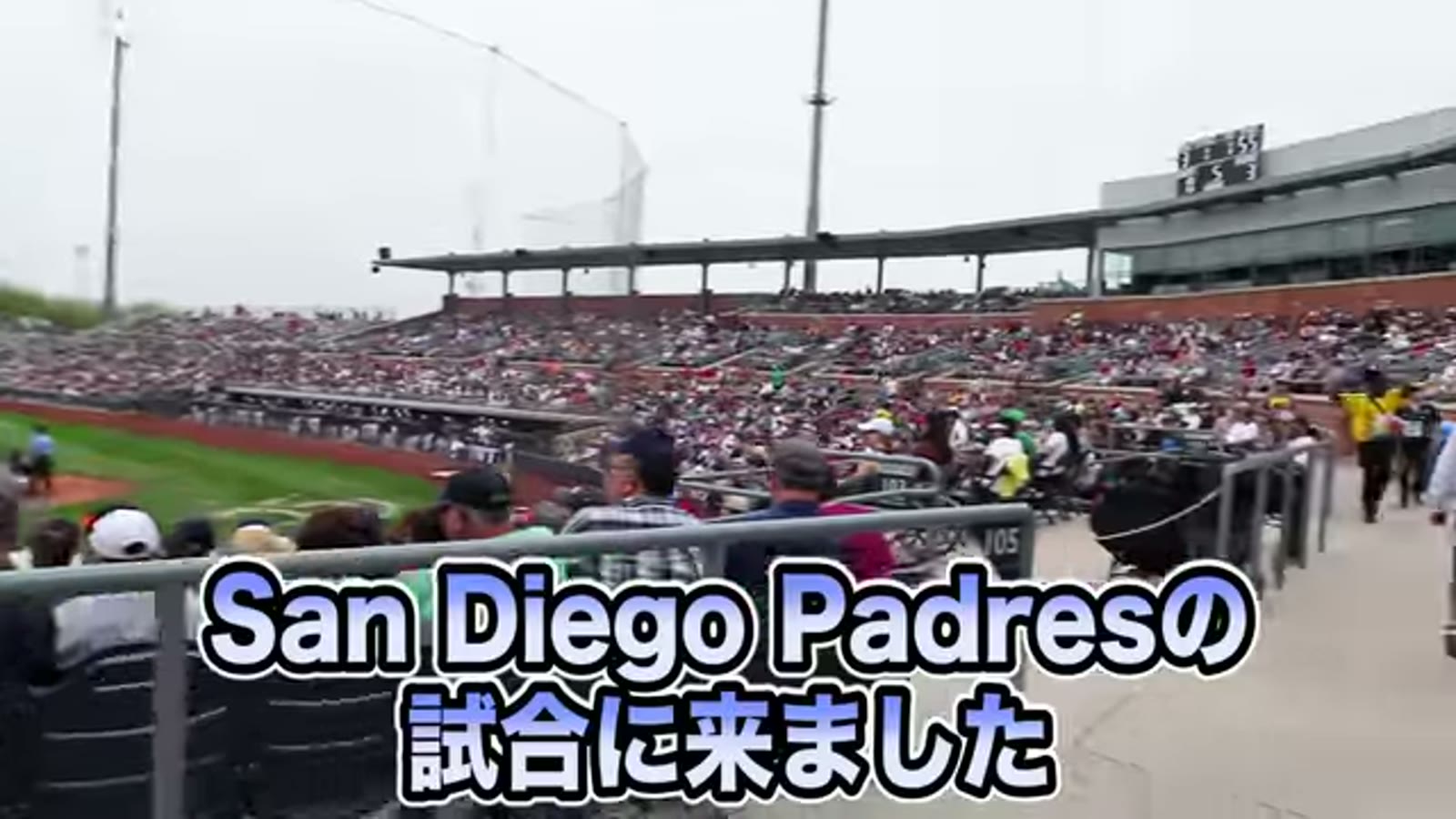 練習中の選手たちを間近で観察