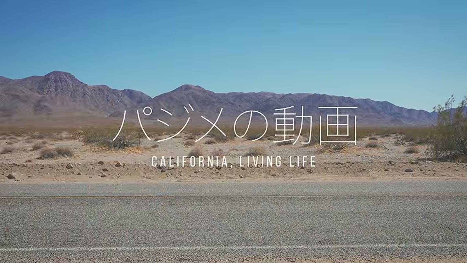 貧困地域とジャンクフード依存について話す