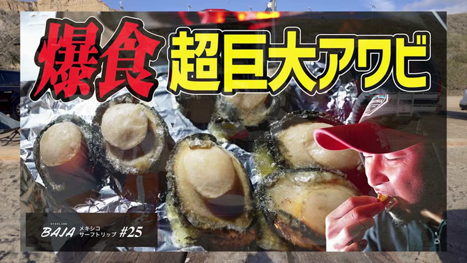 三重県伊勢市産の高級アワビを紹介する場面